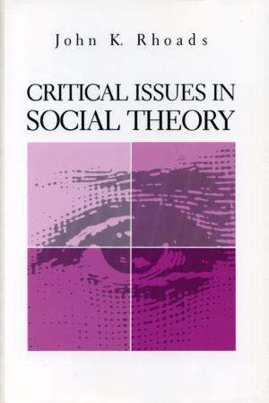 bigCover of the book Critical Issues in Social Theory by 