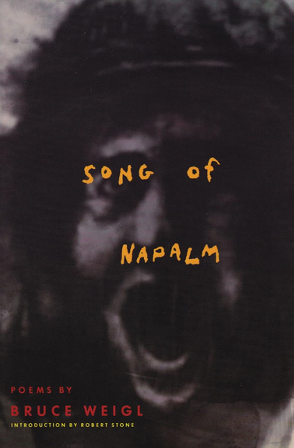 Big bigCover of Song of Napalm