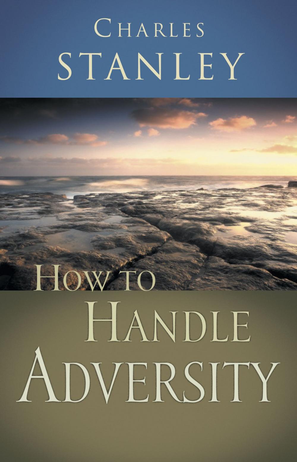 Big bigCover of How to Handle Adversity