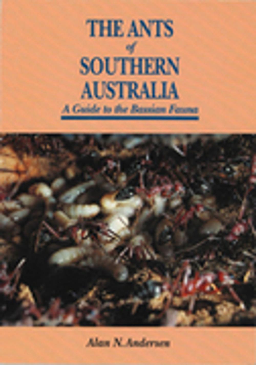 Big bigCover of The Ants of Southern Australia