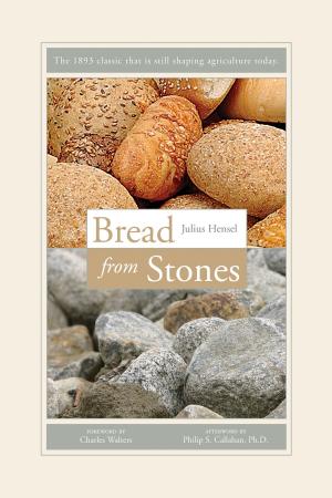 Cover of the book Bread from Stones by William McKibben