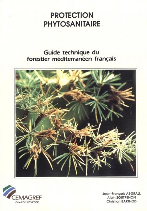 Cover of the book Protection phytosanitaire by Jean-François Abgrall, Alain Soutrenon, Quae