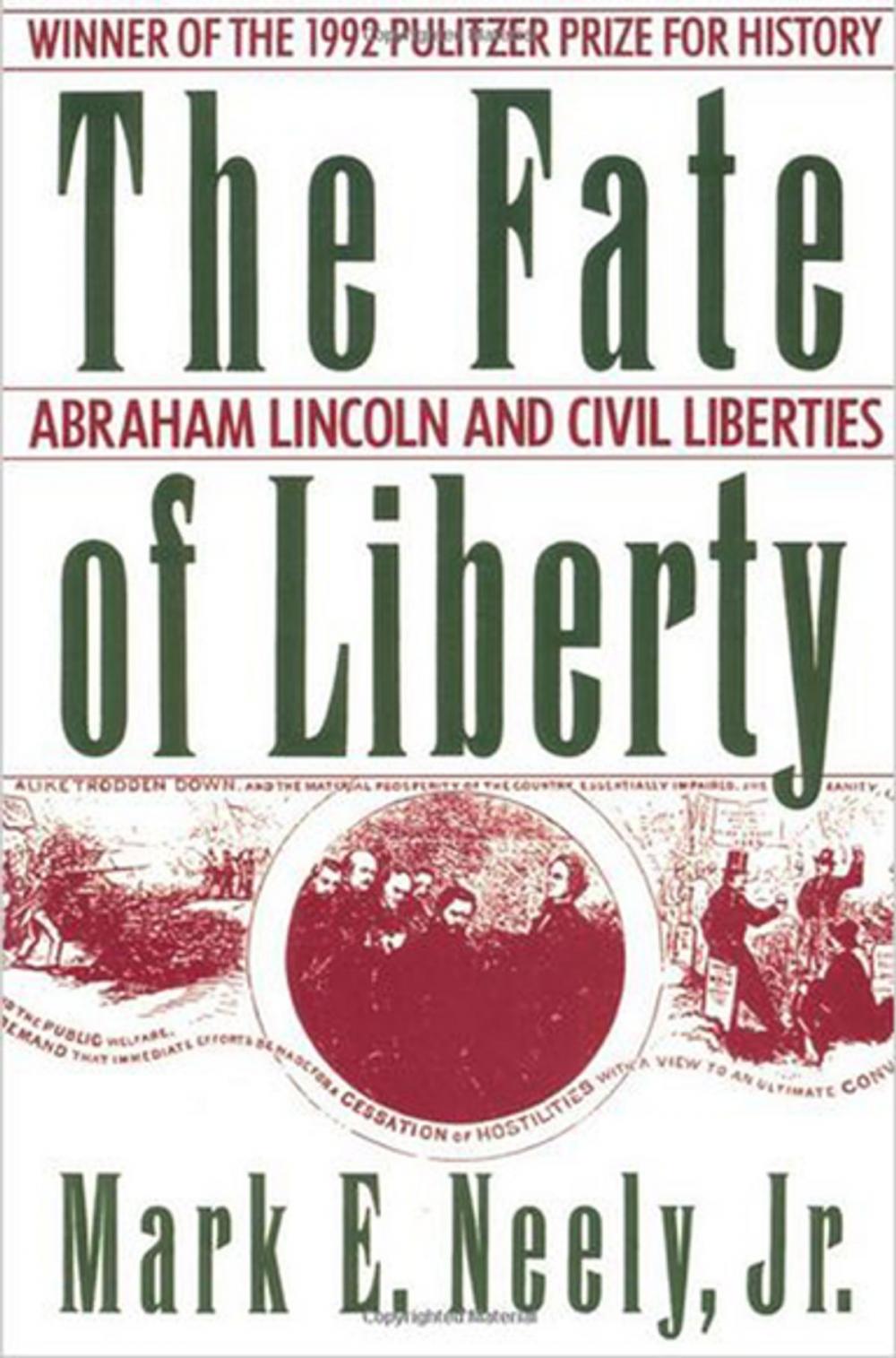 Big bigCover of The Fate of Liberty