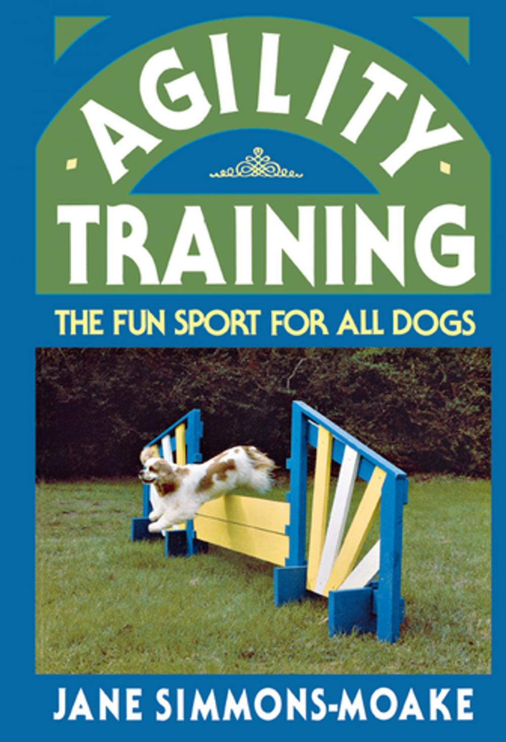 Big bigCover of Agility Training