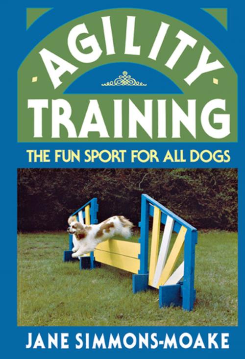 Cover of the book Agility Training by Jane Simmons-Moake, Turner Publishing Company