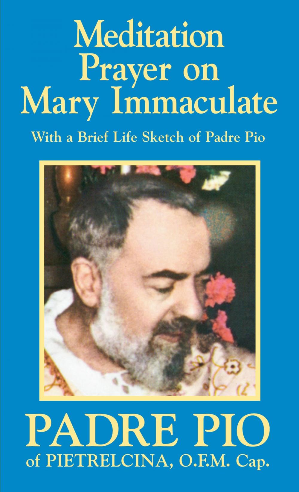 Big bigCover of Meditation Prayer on Mary Immaculate