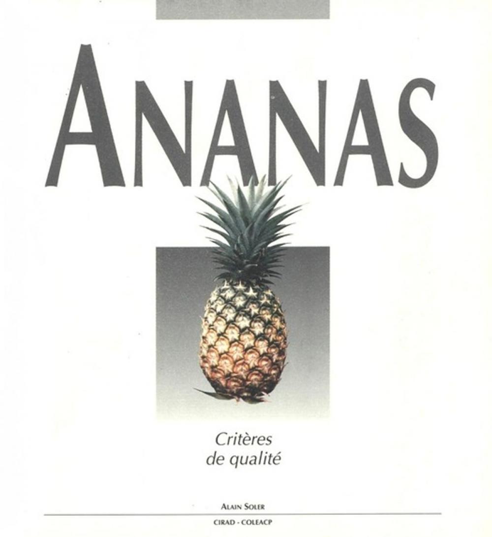 Big bigCover of Ananas