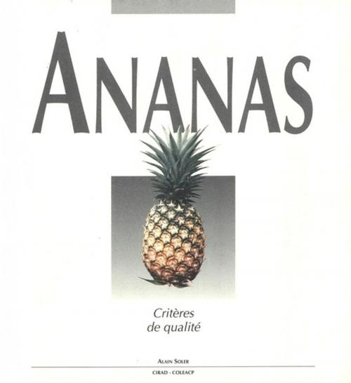 Cover of the book Ananas by Alain Soler, Quae