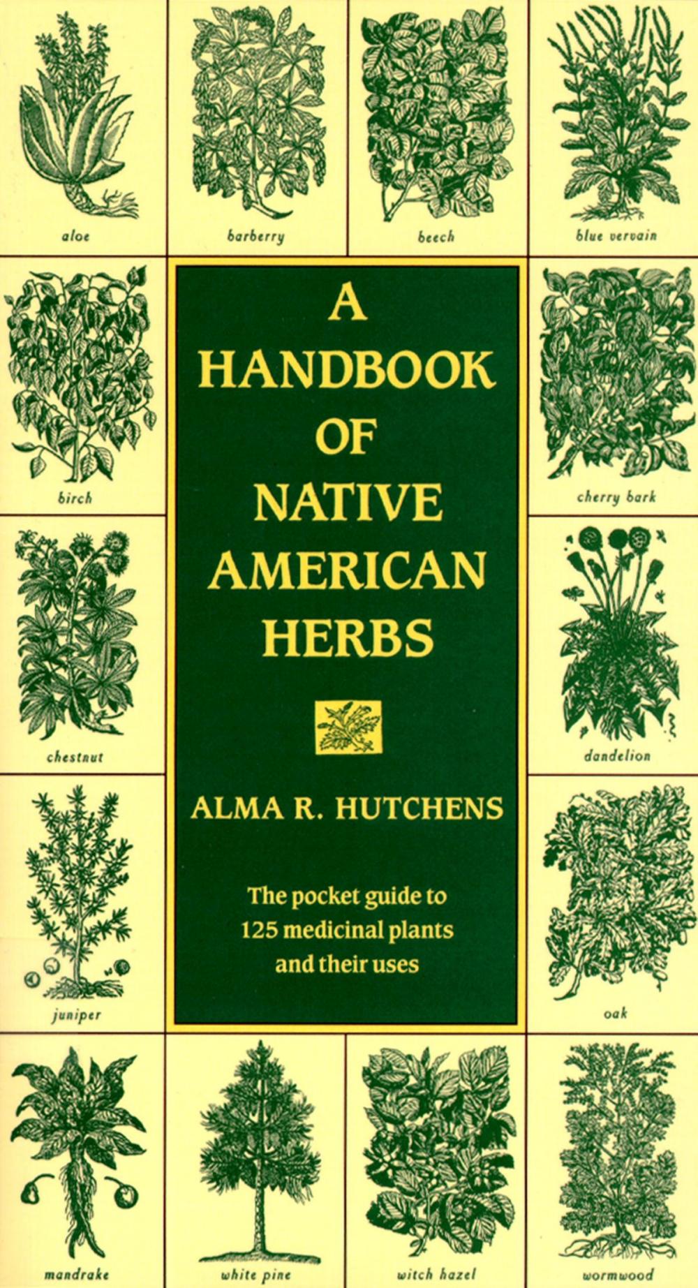 Big bigCover of A Handbook of Native American Herbs