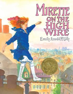 Cover of the book Mirette on the High Wire by Maria van Lieshout