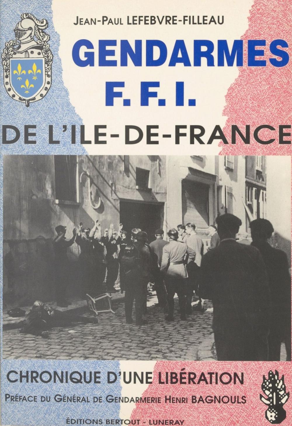 Big bigCover of Gendarmes FFI de l'Île-de-France : chronique d'une libération