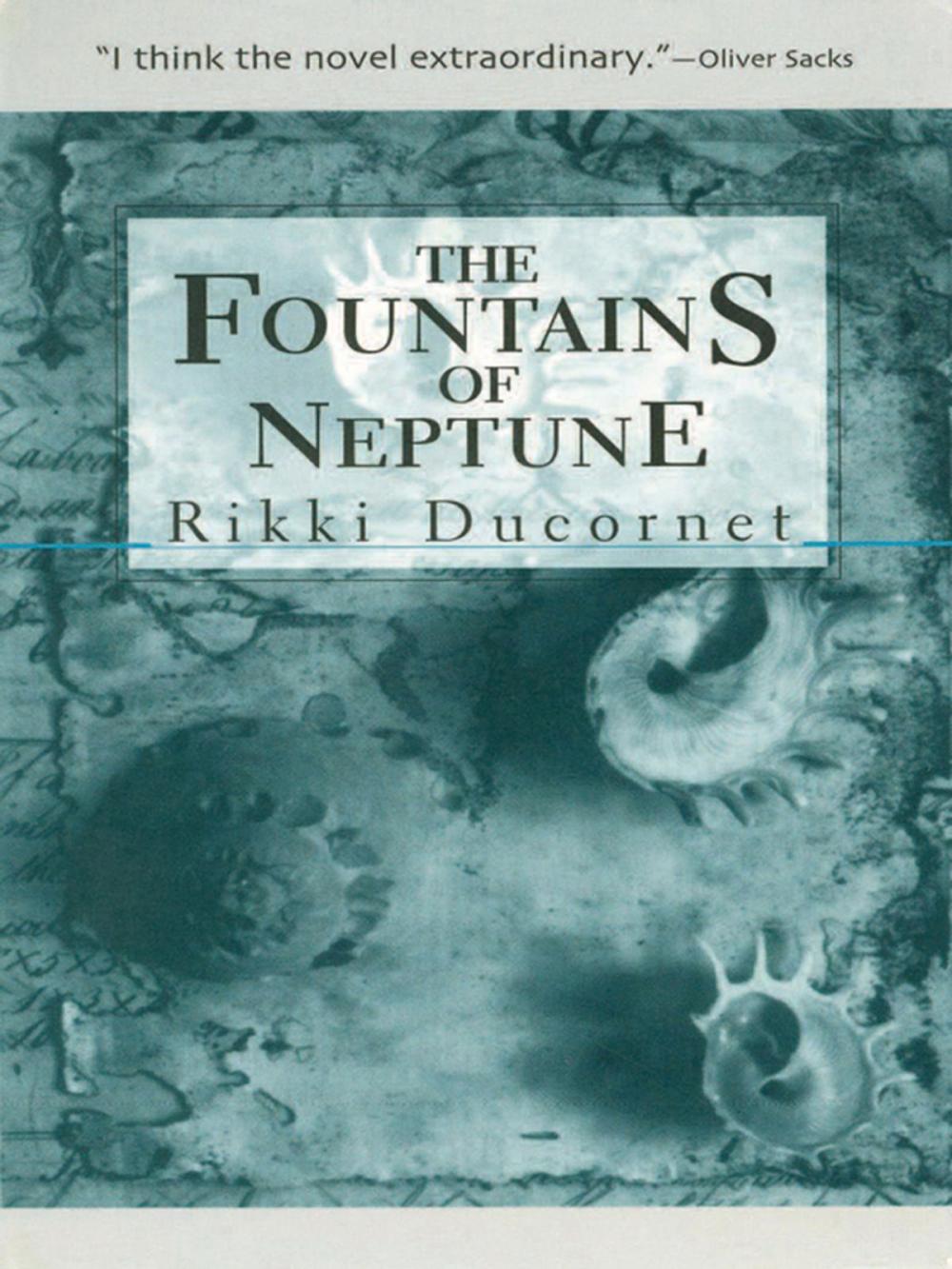 Big bigCover of The Fountains of Neptune