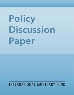 Cover of the book A Cautionary Note on the Use of Exchange Rate Indicators by International Monetary Fund.  Monetary and Capital Markets Department