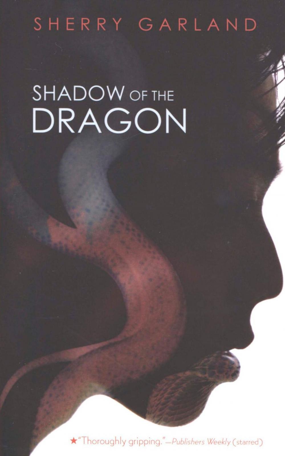 Big bigCover of Shadow of the Dragon