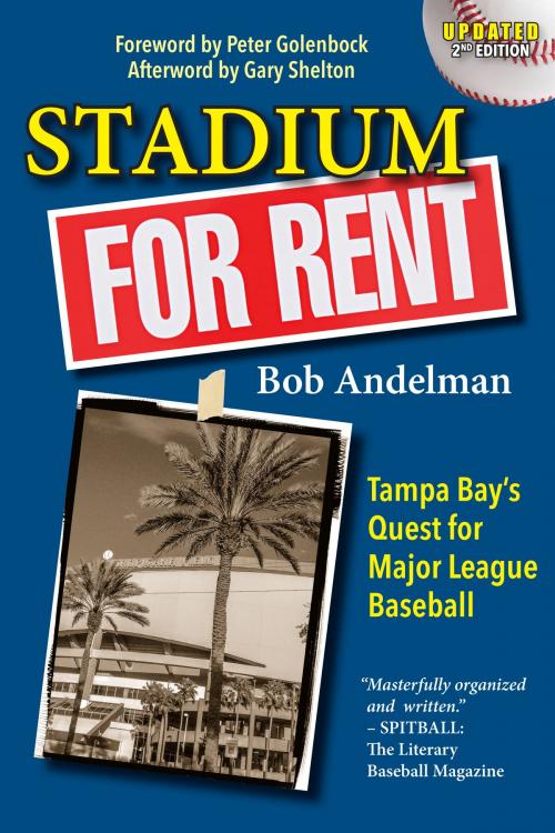 Cover of the book Stadium For Rent by Bob Andelman, Mr. Media Books