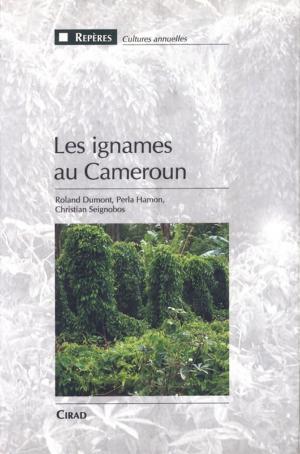 Cover of the book Les ignames au Cameroun by Sébastien Treyer, Bruno Dorin, Sandrine Paillard