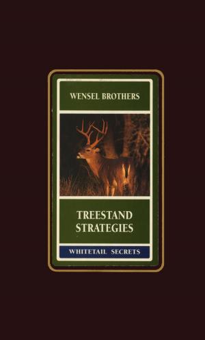 Cover of the book Treestand Strategies by Worth Mathewson
