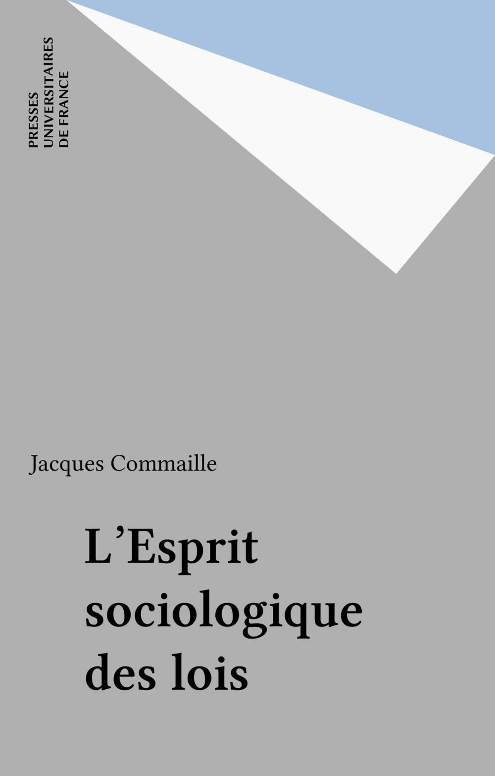 Big bigCover of L'Esprit sociologique des lois