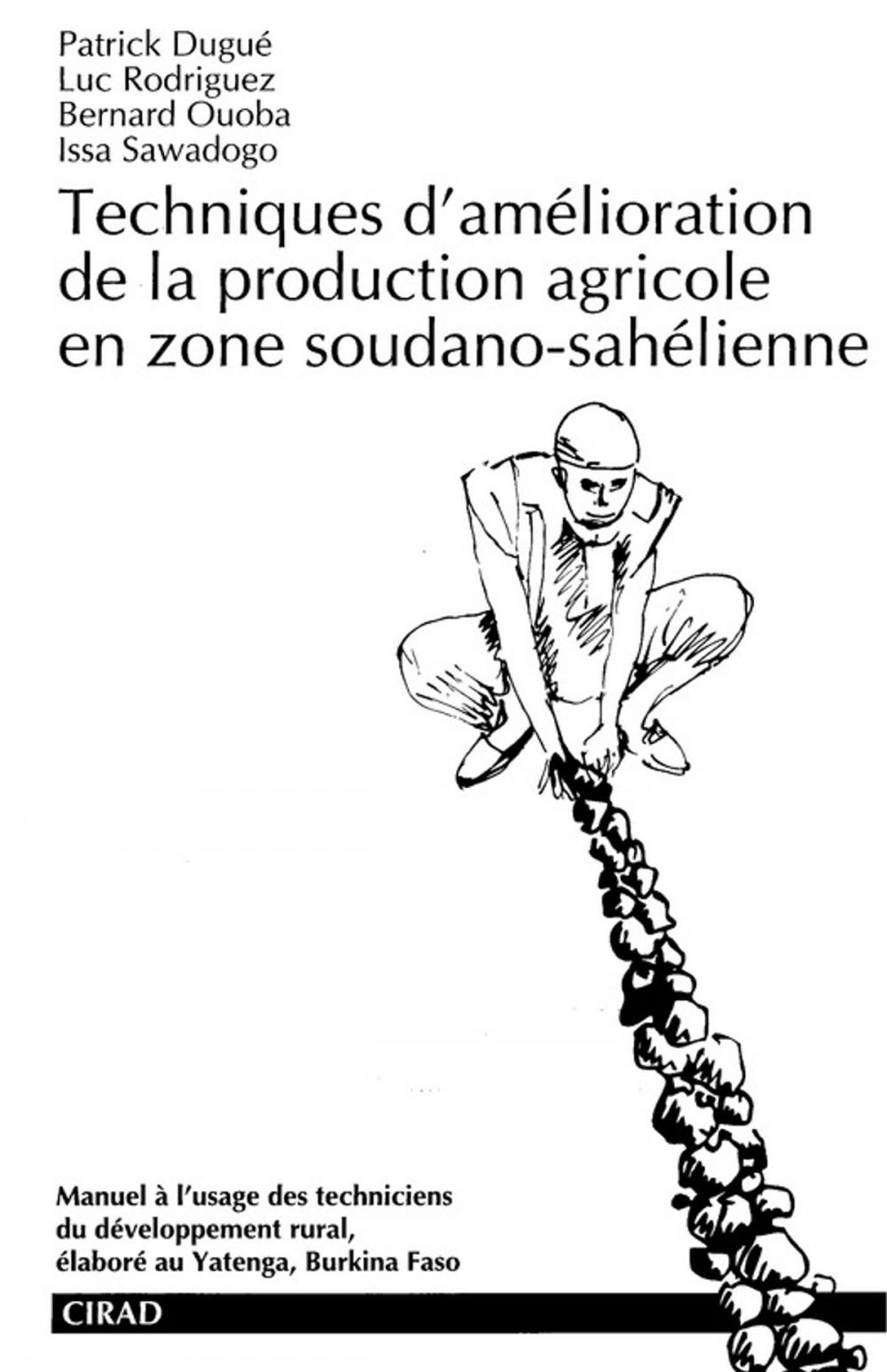 Big bigCover of Techniques d'amélioration de la production agricole en zone soudano-sahélienne