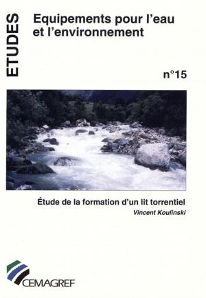 Cover of the book Étude de la formation d'un lit torrentiel by Paul Royet, Patrice Mériaux