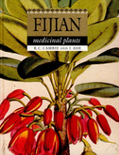 Cover of the book Fijian Medicinal Plants by RC Cambie, J Ash, CSIRO PUBLISHING