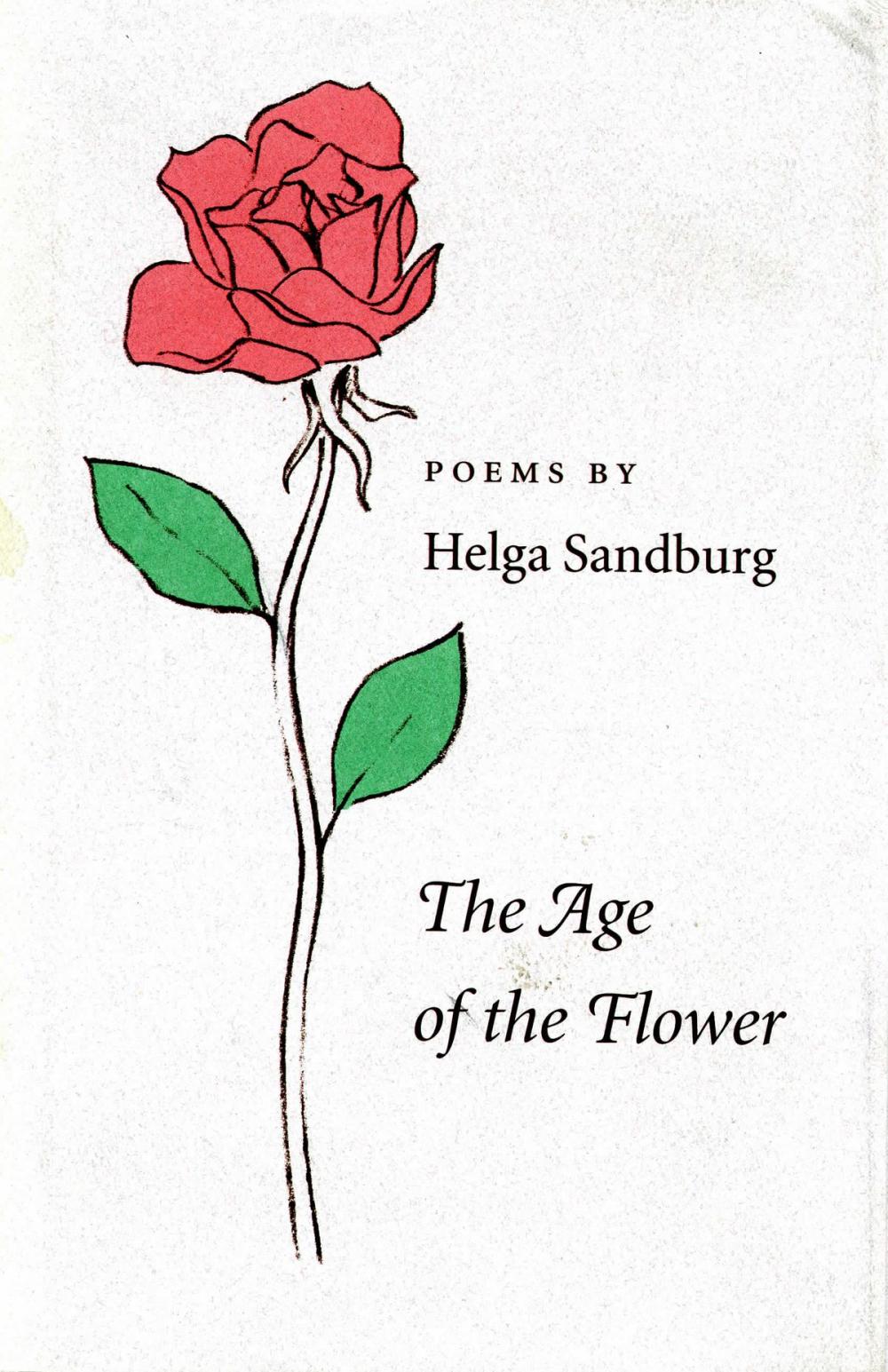 Big bigCover of The Age of the Flower