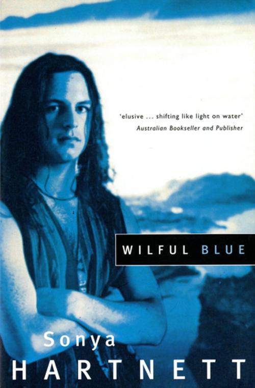 Cover of the book Wilful Blue by Sonya Hartnett, Penguin Random House Australia