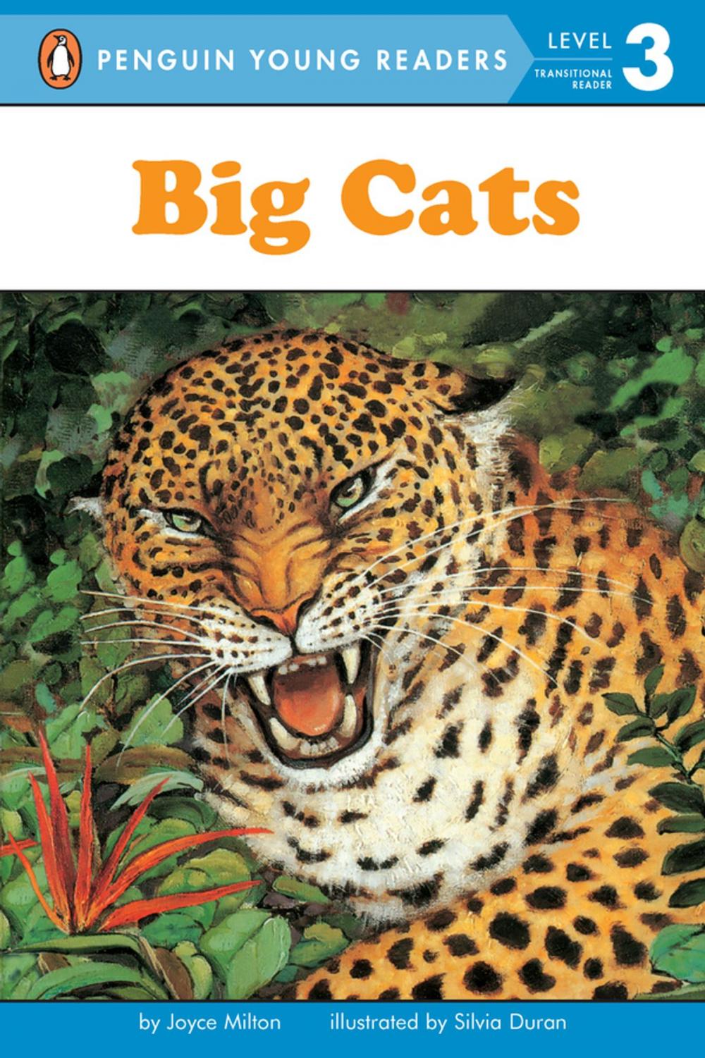 Big bigCover of Big Cats