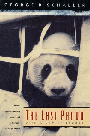 Cover of the book The Last Panda by Pamela Feldman-Savelsberg