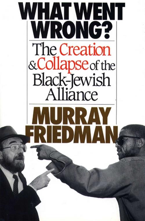 Cover of the book What Went Wrong? by Murray Friedman, Free Press