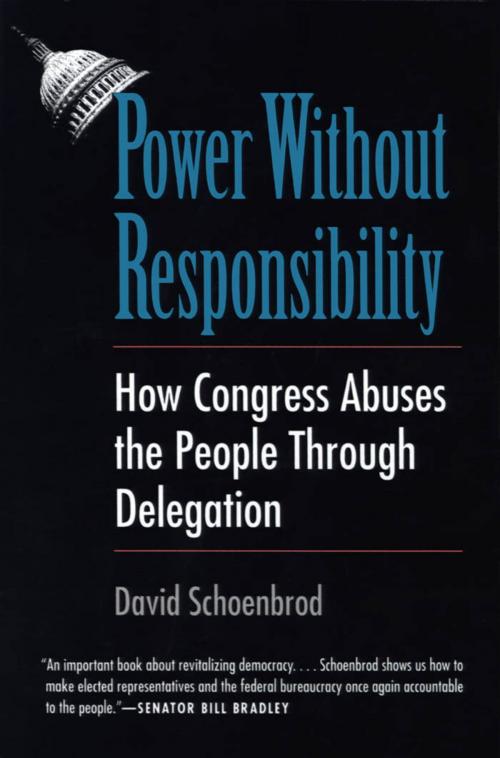 Cover of the book Power Without Responsibility by Professor David Schoenbrod, Yale University Press