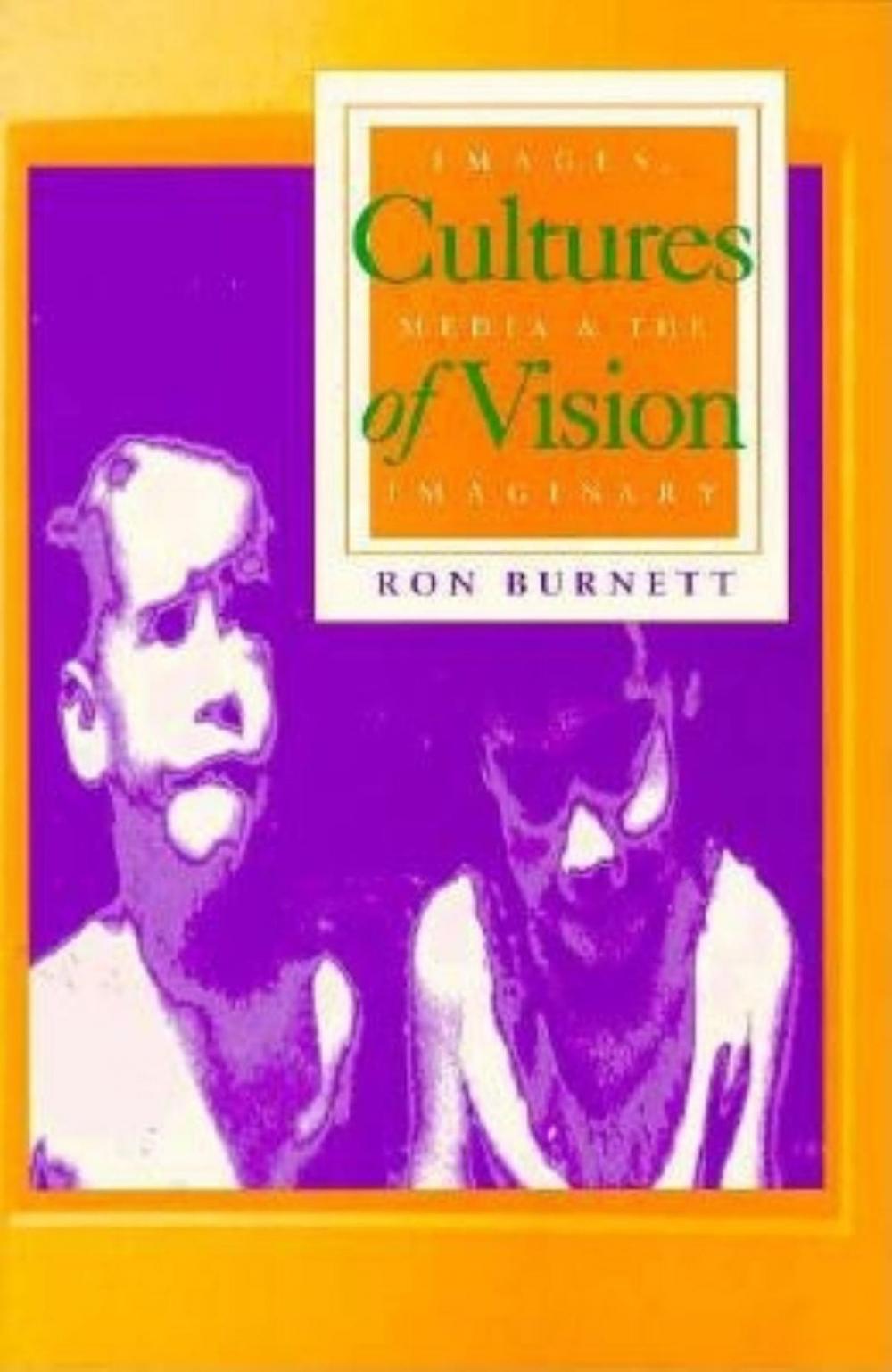 Big bigCover of Cultures of Vision