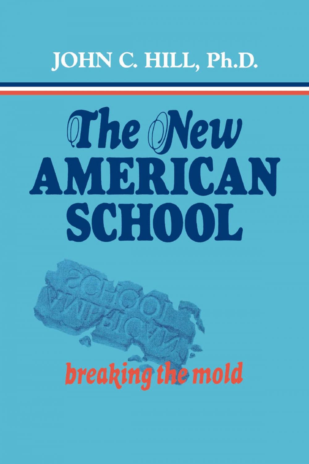 Big bigCover of The New American School