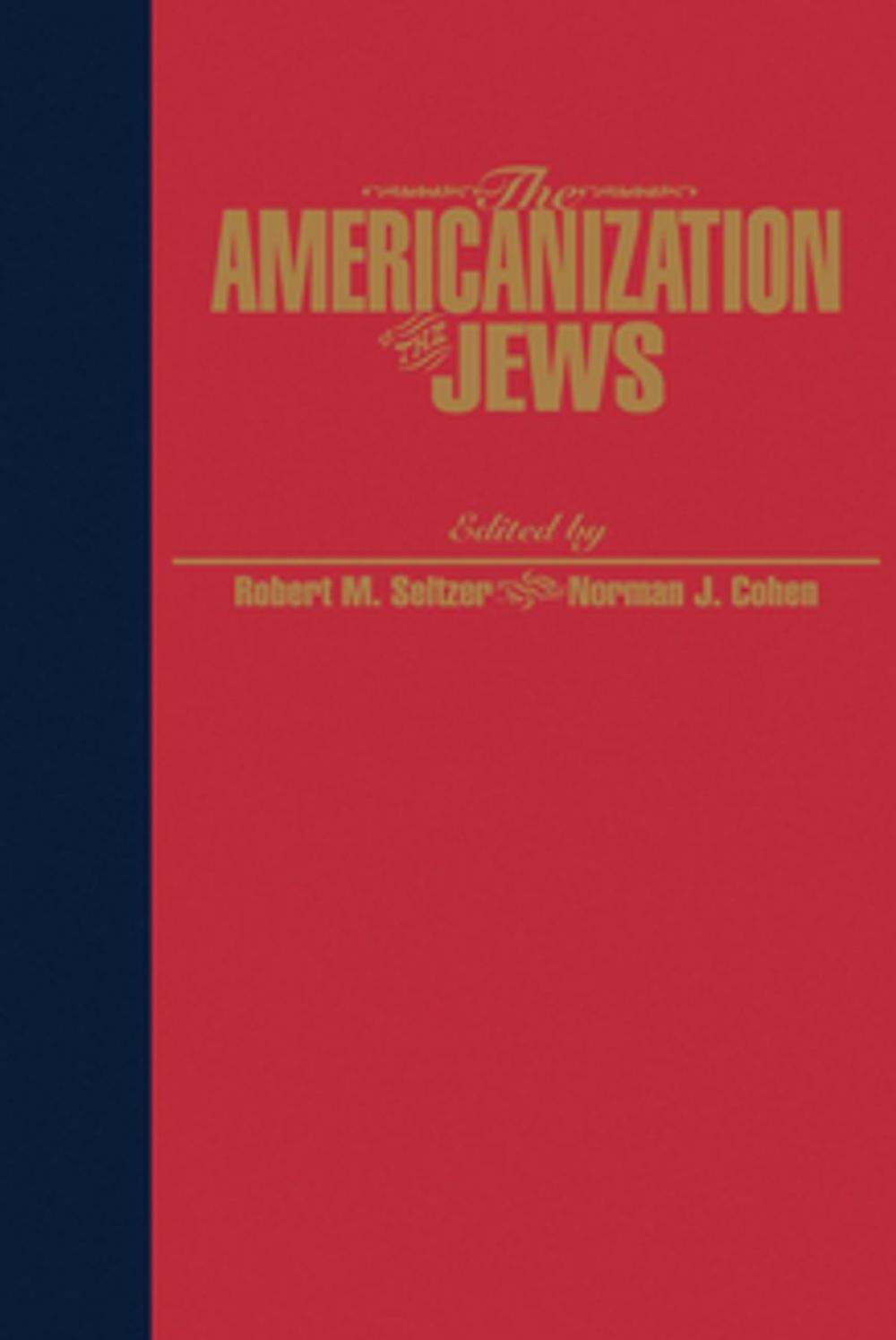 Big bigCover of The Americanization of the Jews