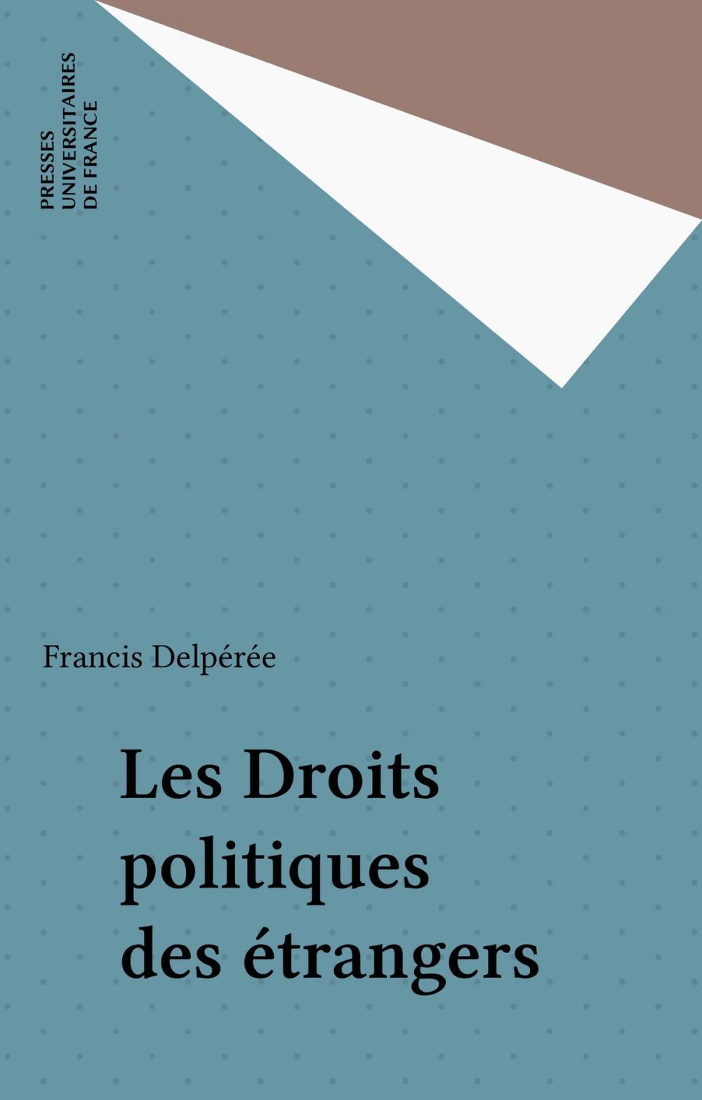 Big bigCover of Les Droits politiques des étrangers