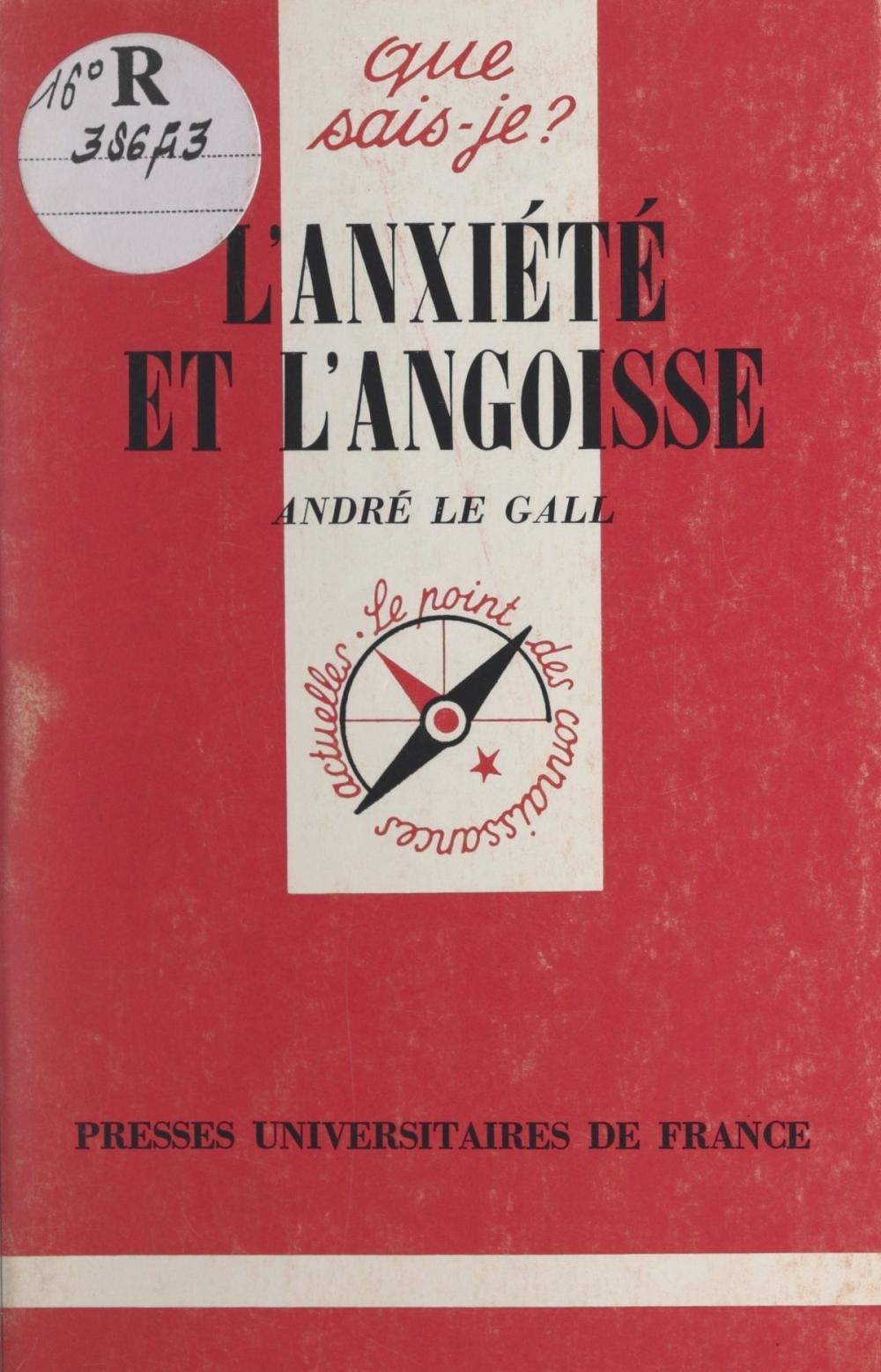 Big bigCover of L'anxiété et l'angoisse