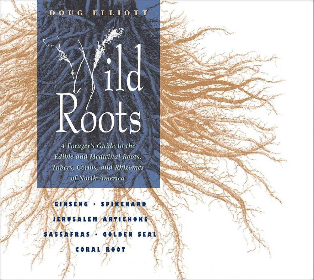 Big bigCover of Wild Roots