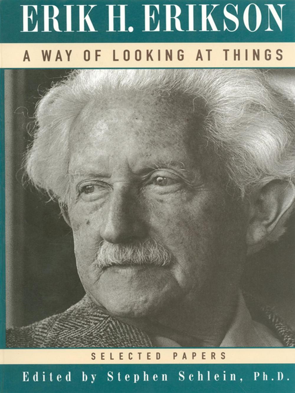 Big bigCover of A Way of Looking at Things: Selected Papers, 1930-1980