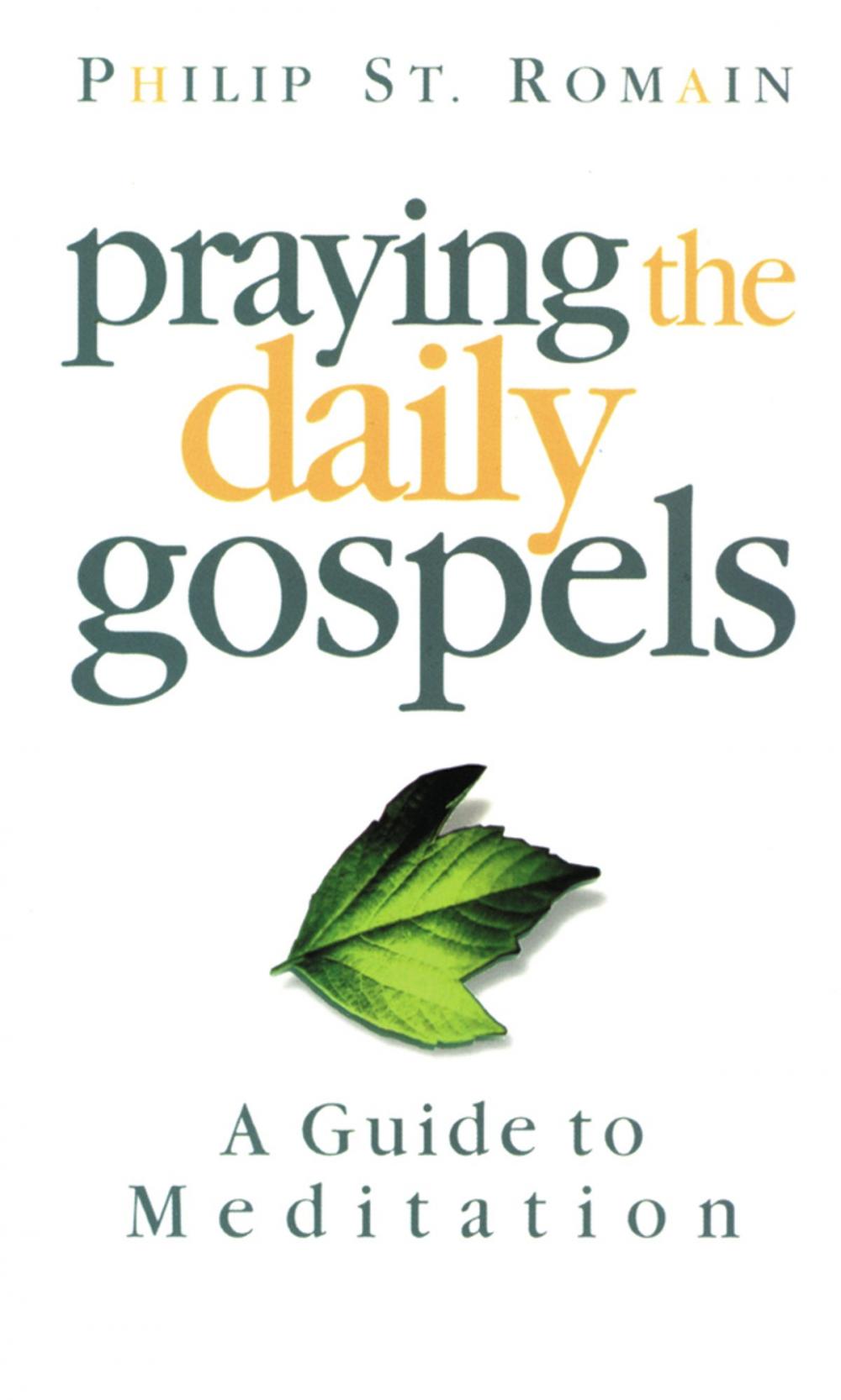 Big bigCover of Praying the Daily Gospels