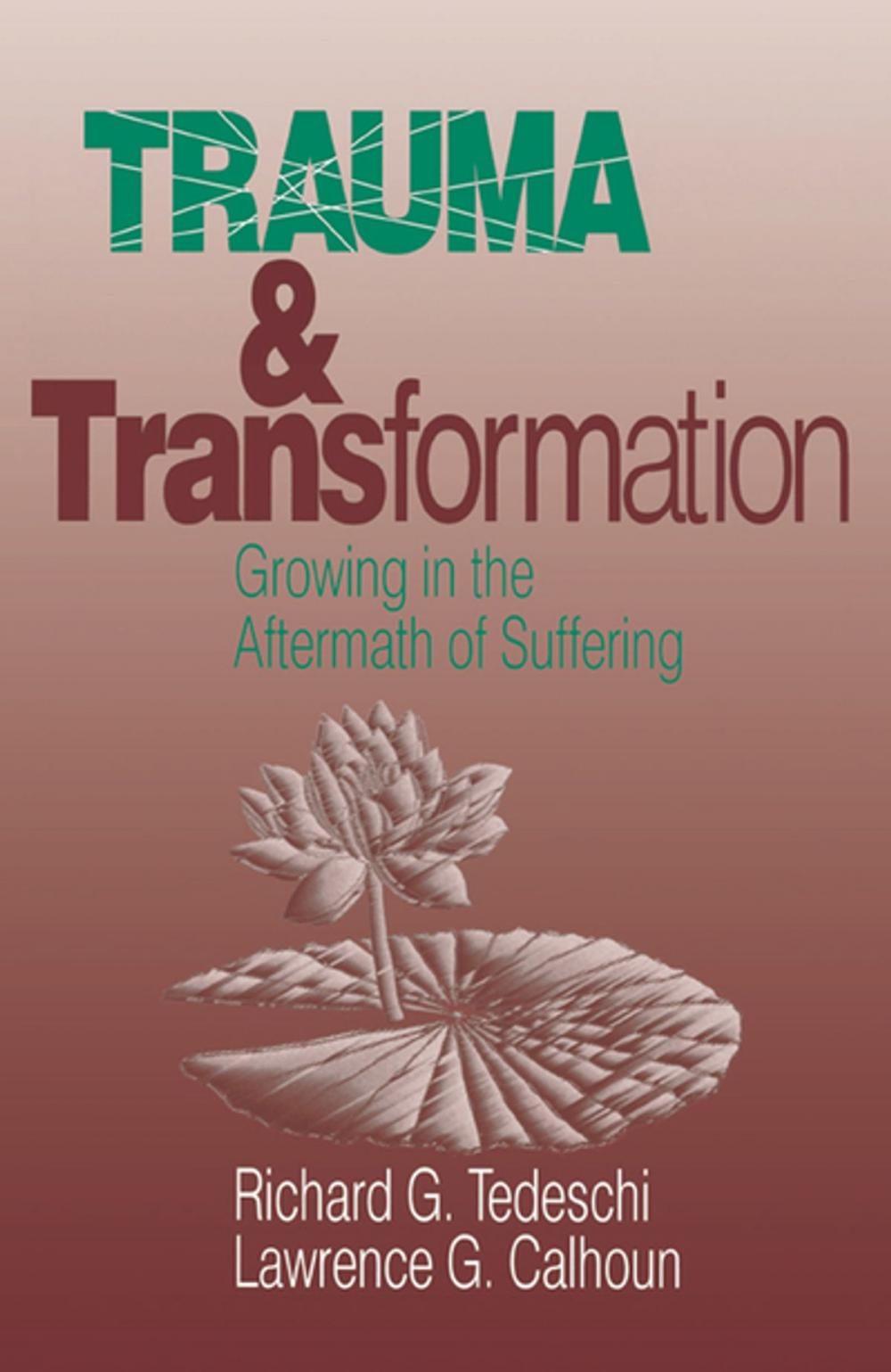 Big bigCover of Trauma and Transformation