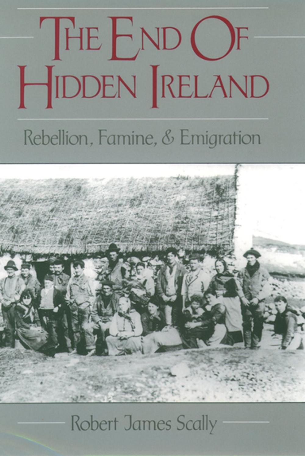 Big bigCover of The End of Hidden Ireland