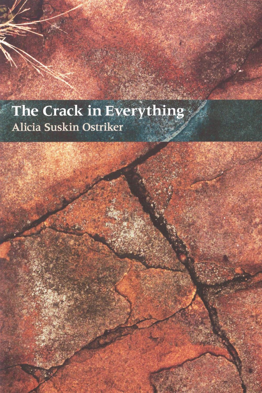 Big bigCover of The Crack In Everything