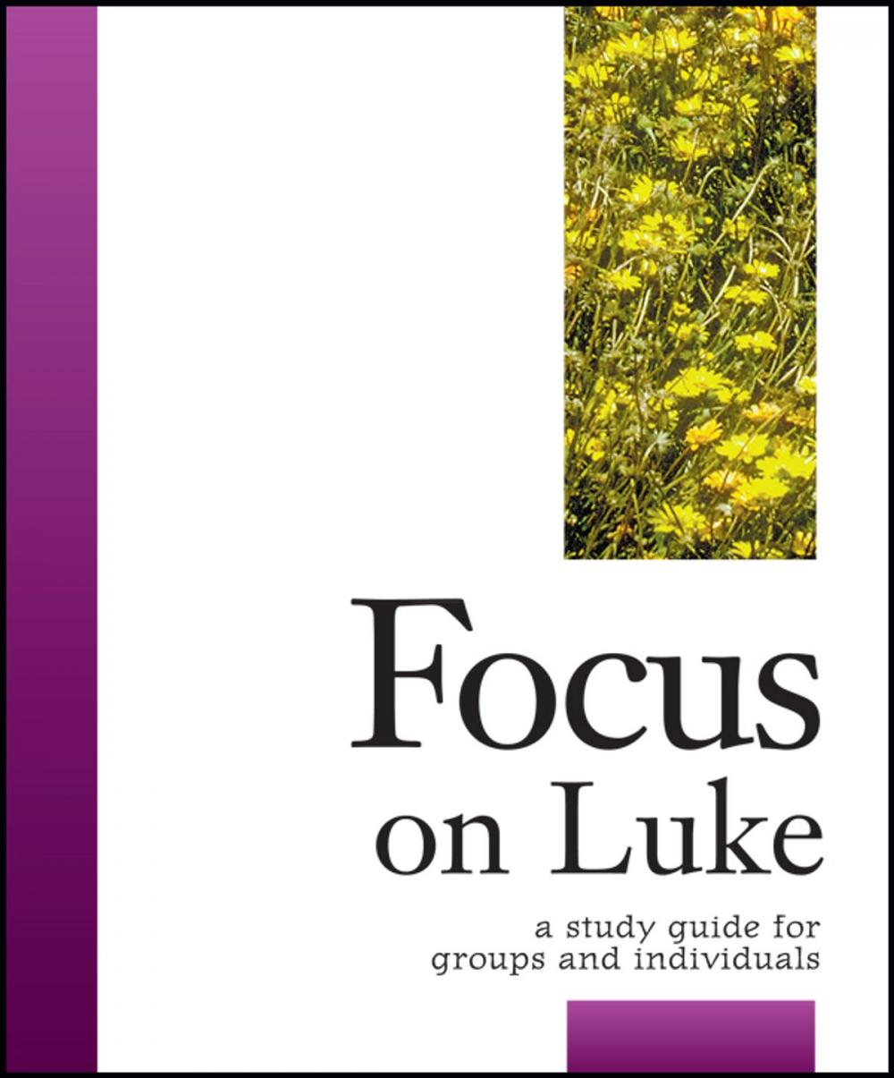 Big bigCover of Focus on Luke