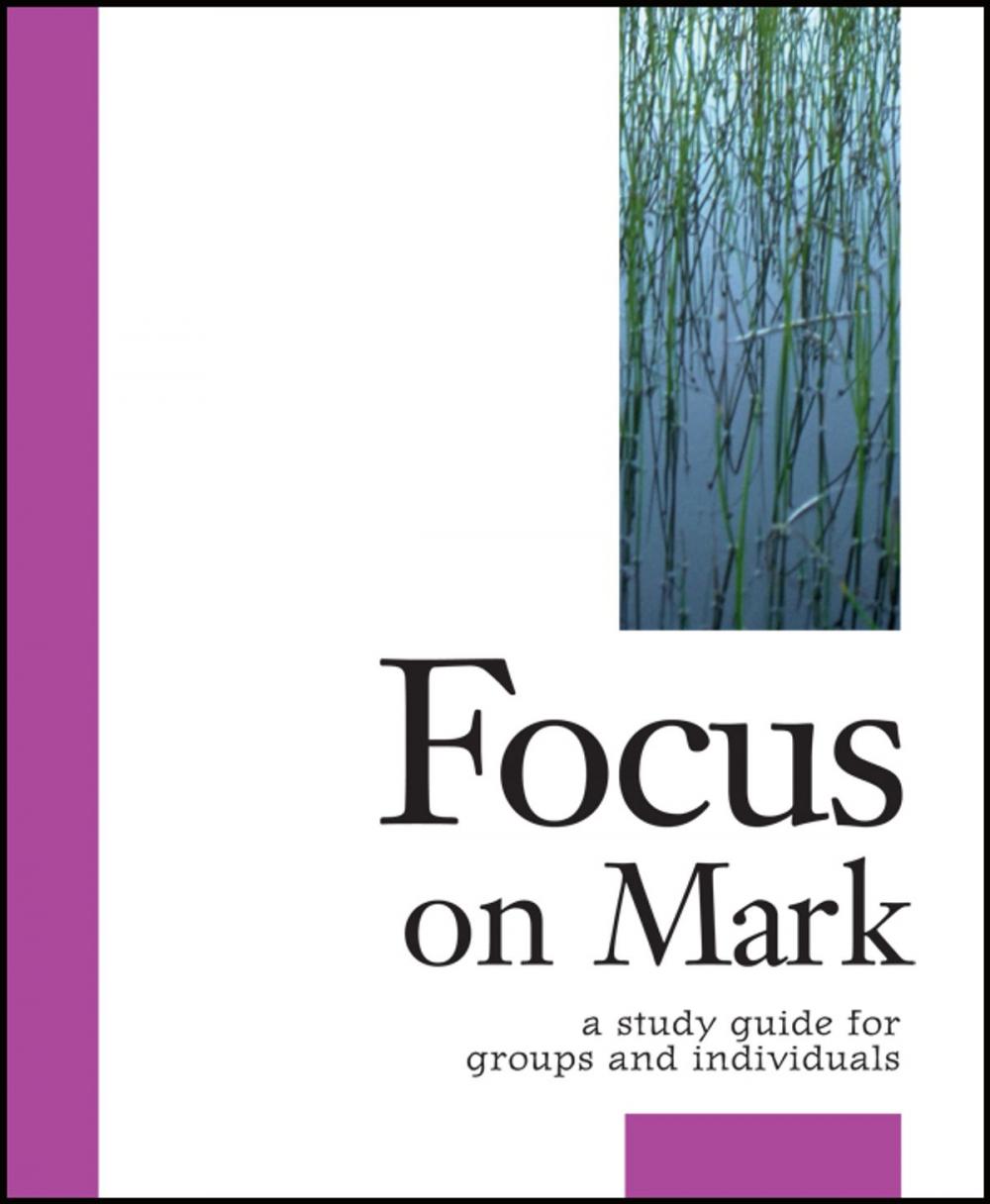 Big bigCover of Focus on Mark