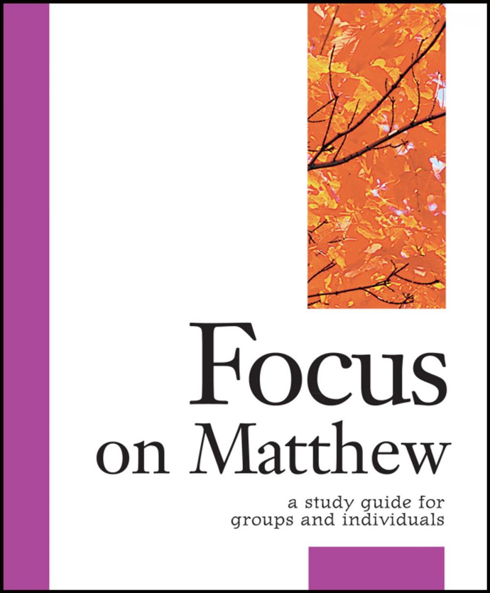 Big bigCover of Focus on Matthew