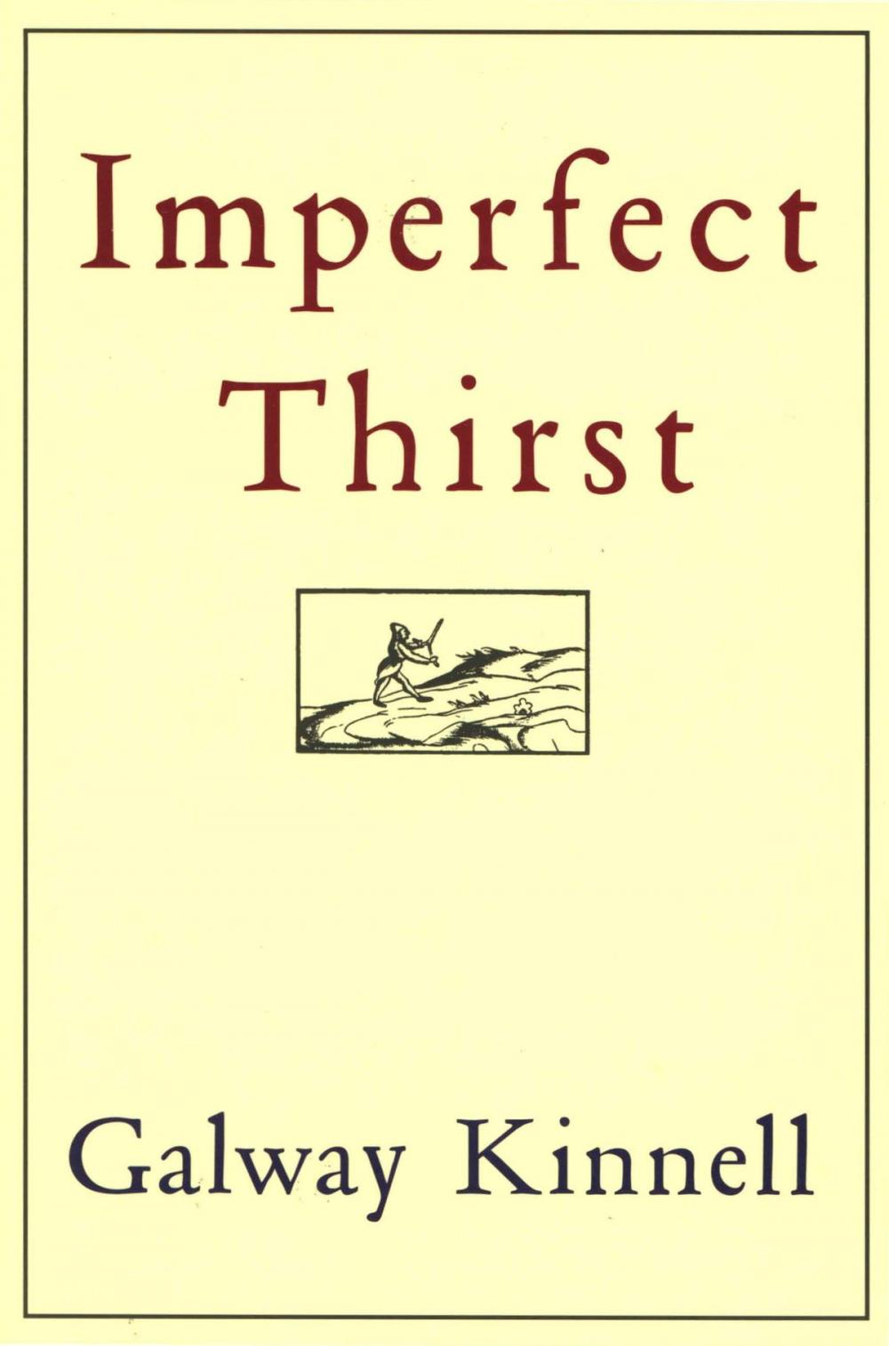 Big bigCover of Imperfect Thirst