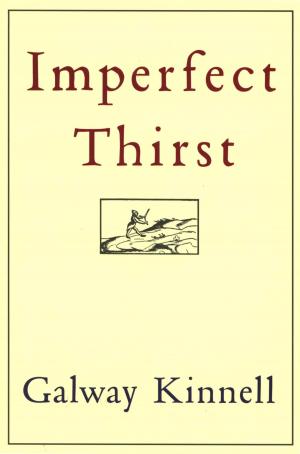 Cover of the book Imperfect Thirst by Kasper Hoe