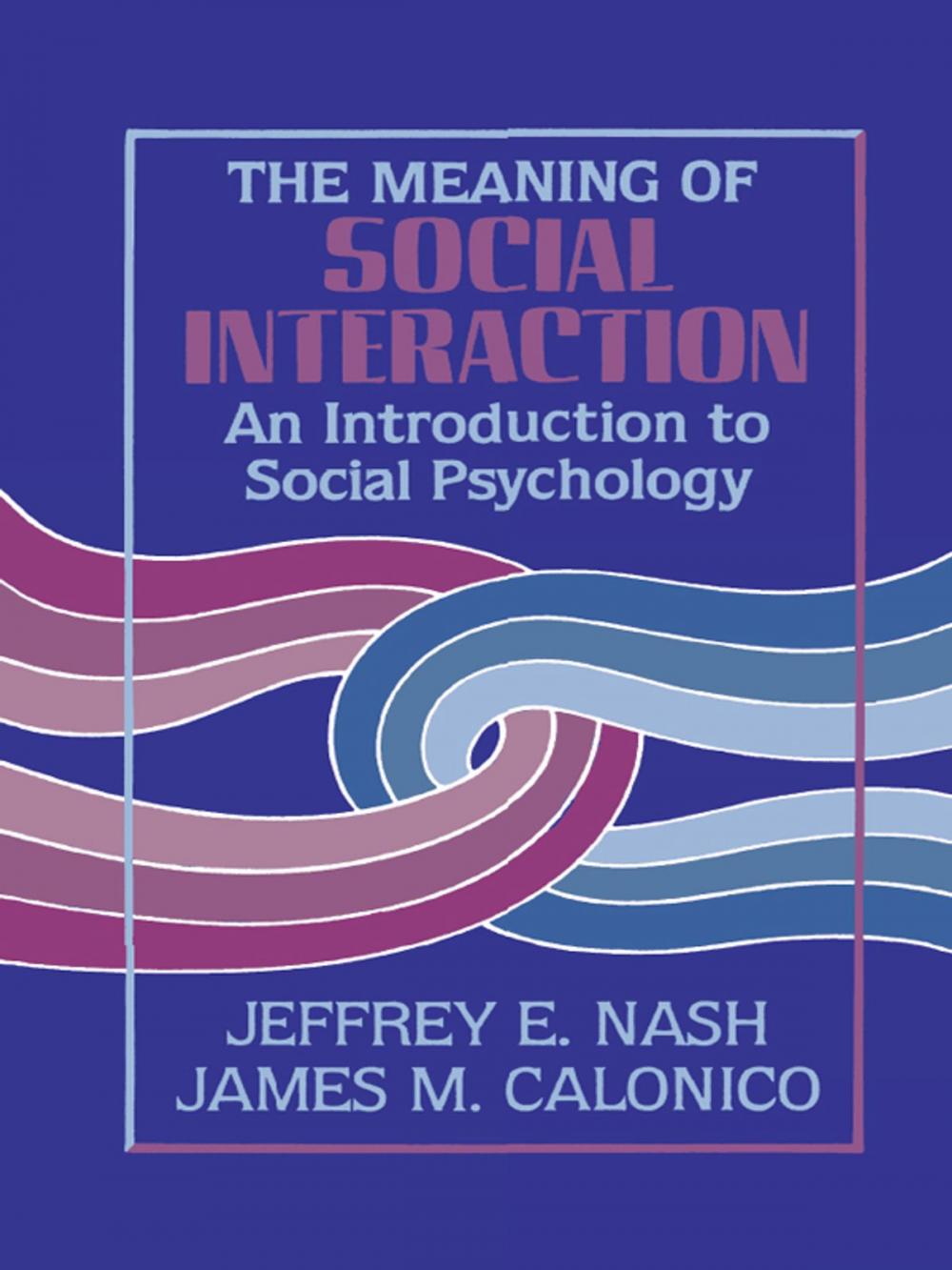 Big bigCover of The Meaning of Social Interaction