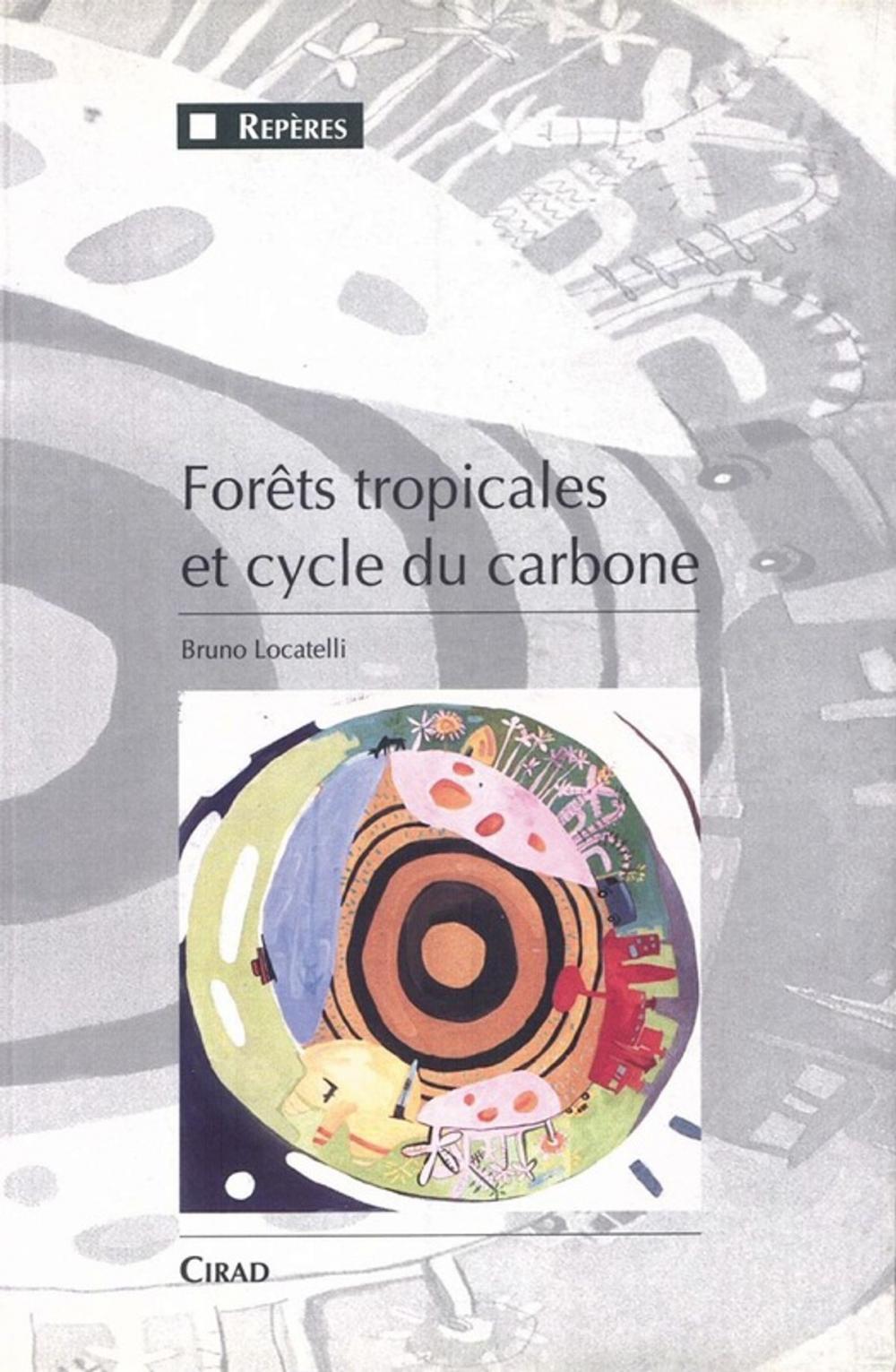 Big bigCover of Forêts tropicales et cycle du carbone