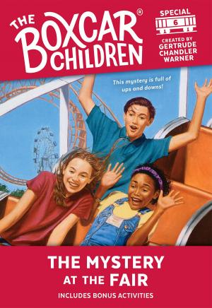 Book cover of The Mystery at the Fair